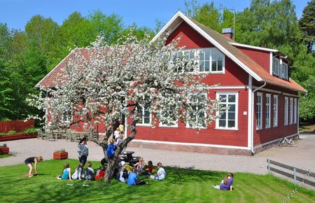 Skolbyggnaden med blommade äppelträd