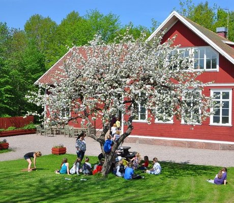 bild på skolbyggnaden med blommande äppelträdd i förgrunden